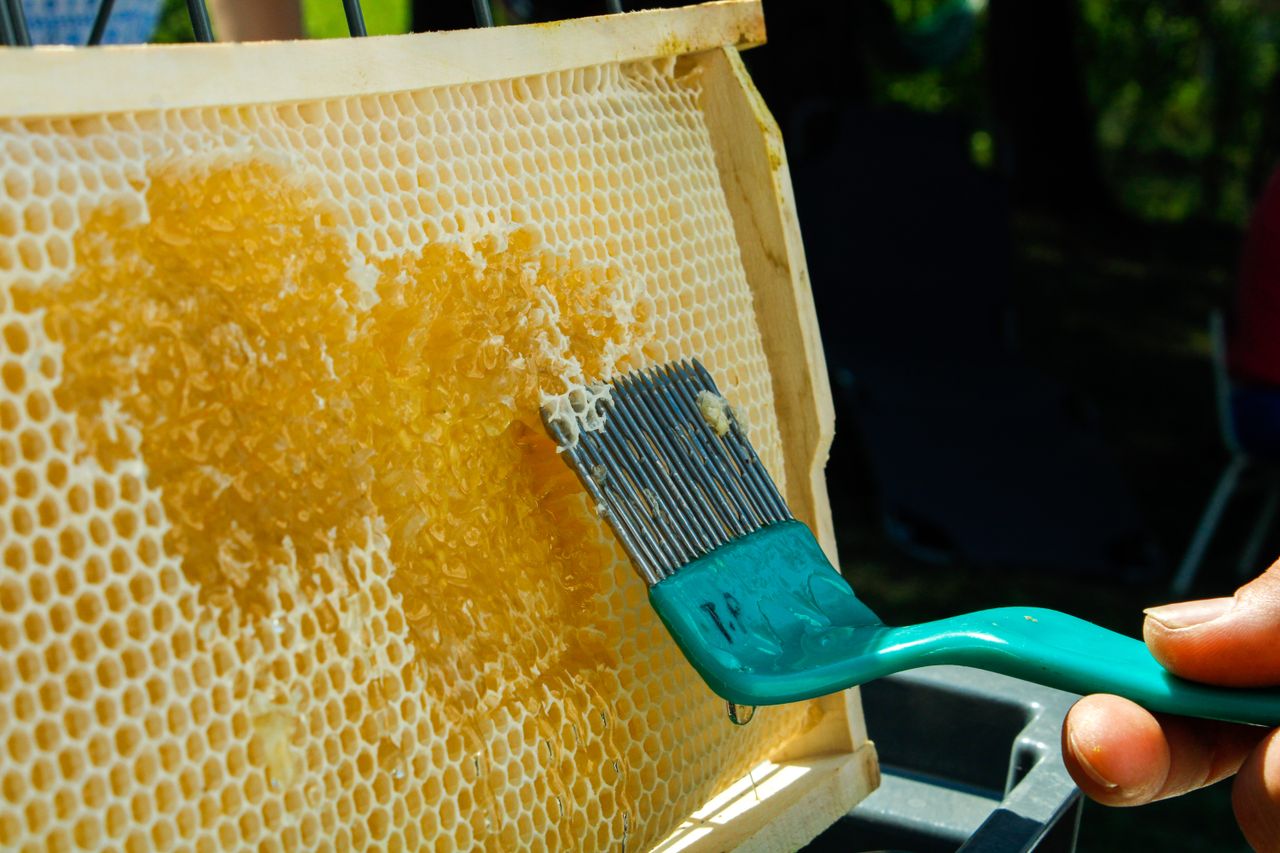 Close-up of a honeycomb being scraped by hand with a tool in Hobol, Hungary outdoors.